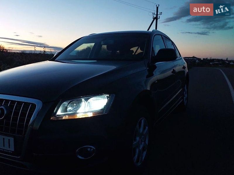 Audi Q5 2010