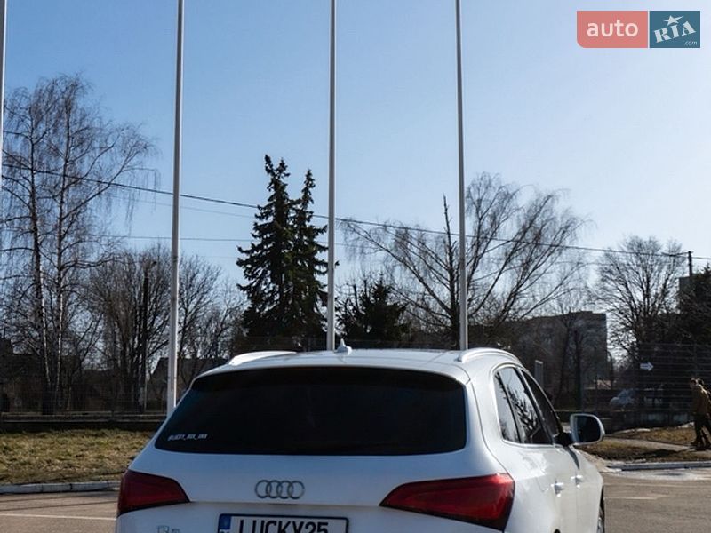 Внедорожник / Кроссовер Audi Q5 2013 в Житомире