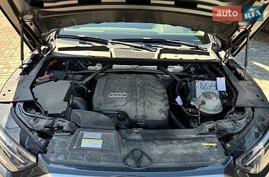 Внедорожник / Кроссовер Audi Q5 2021 в Белой Церкви