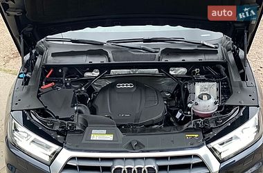 Внедорожник / Кроссовер Audi Q5 2019 в Львове