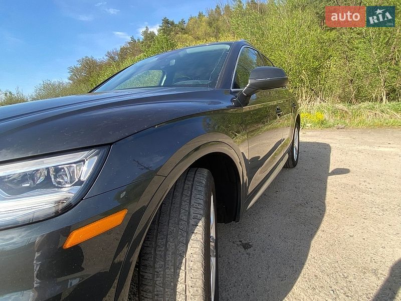 Внедорожник / Кроссовер Audi Q5 2019 в Львове