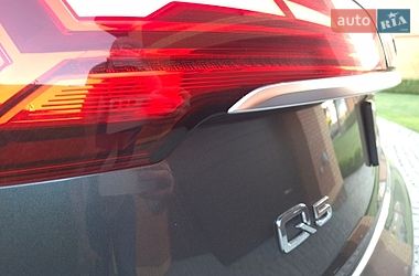 Внедорожник / Кроссовер Audi Q5 2021 в Житомире