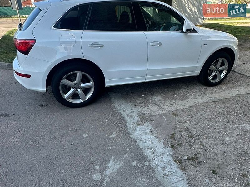 2014 Audi Q5, VIN WAUZZZ8R6FA025604:plate — фото 1 (autoria)