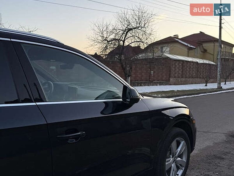 Внедорожник / Кроссовер Audi Q5 2019 в Белой Церкви