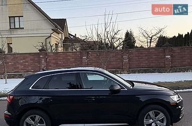 Внедорожник / Кроссовер Audi Q5 2019 в Белой Церкви
