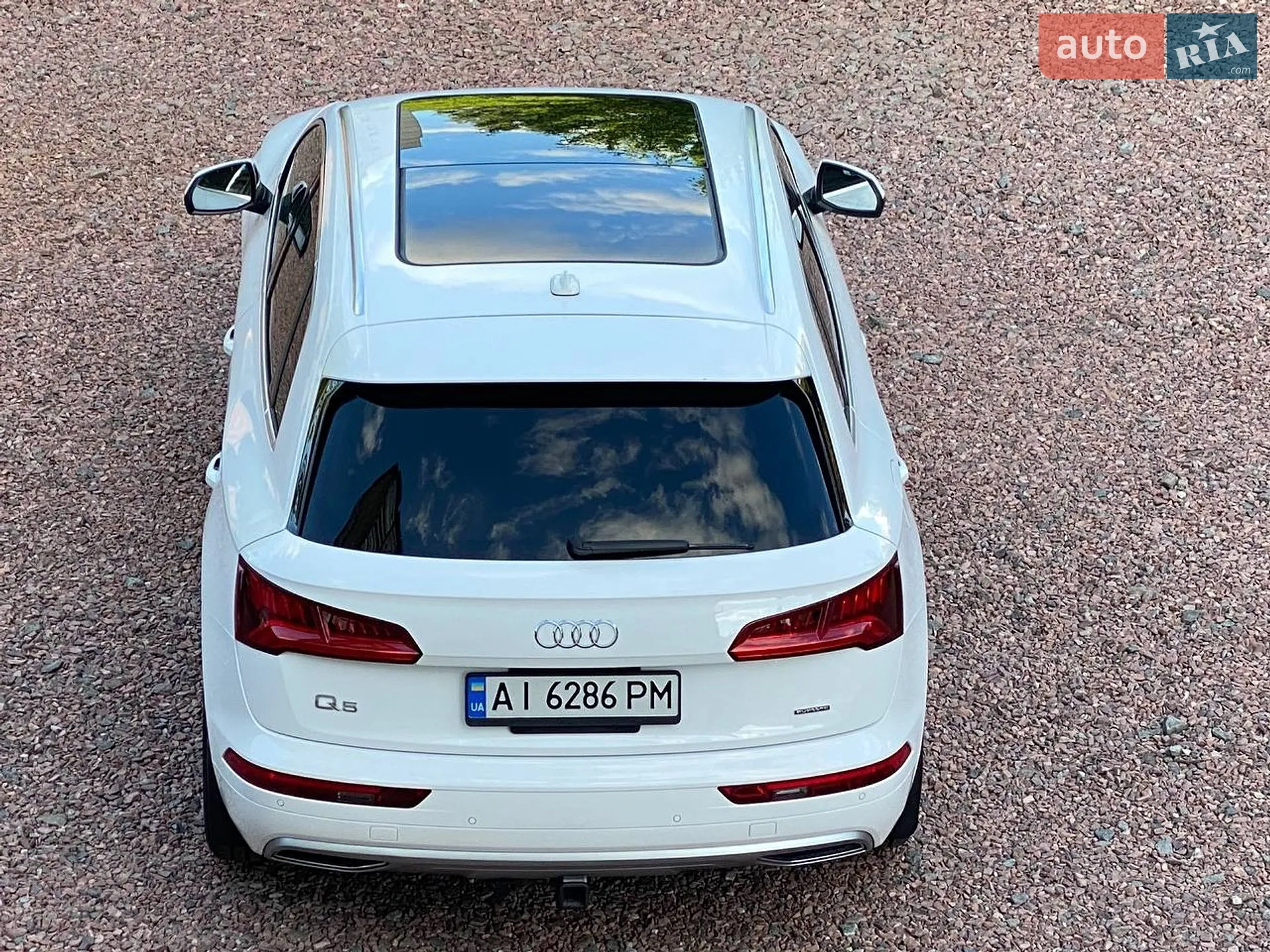 2019 Audi Q5 - фото 1