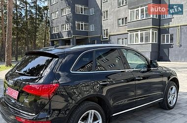 Внедорожник / Кроссовер Audi Q5 2016 в Ахтырке фото 10 Внедорожник / Кроссовер Audi Q5 2016 в Ахтырке