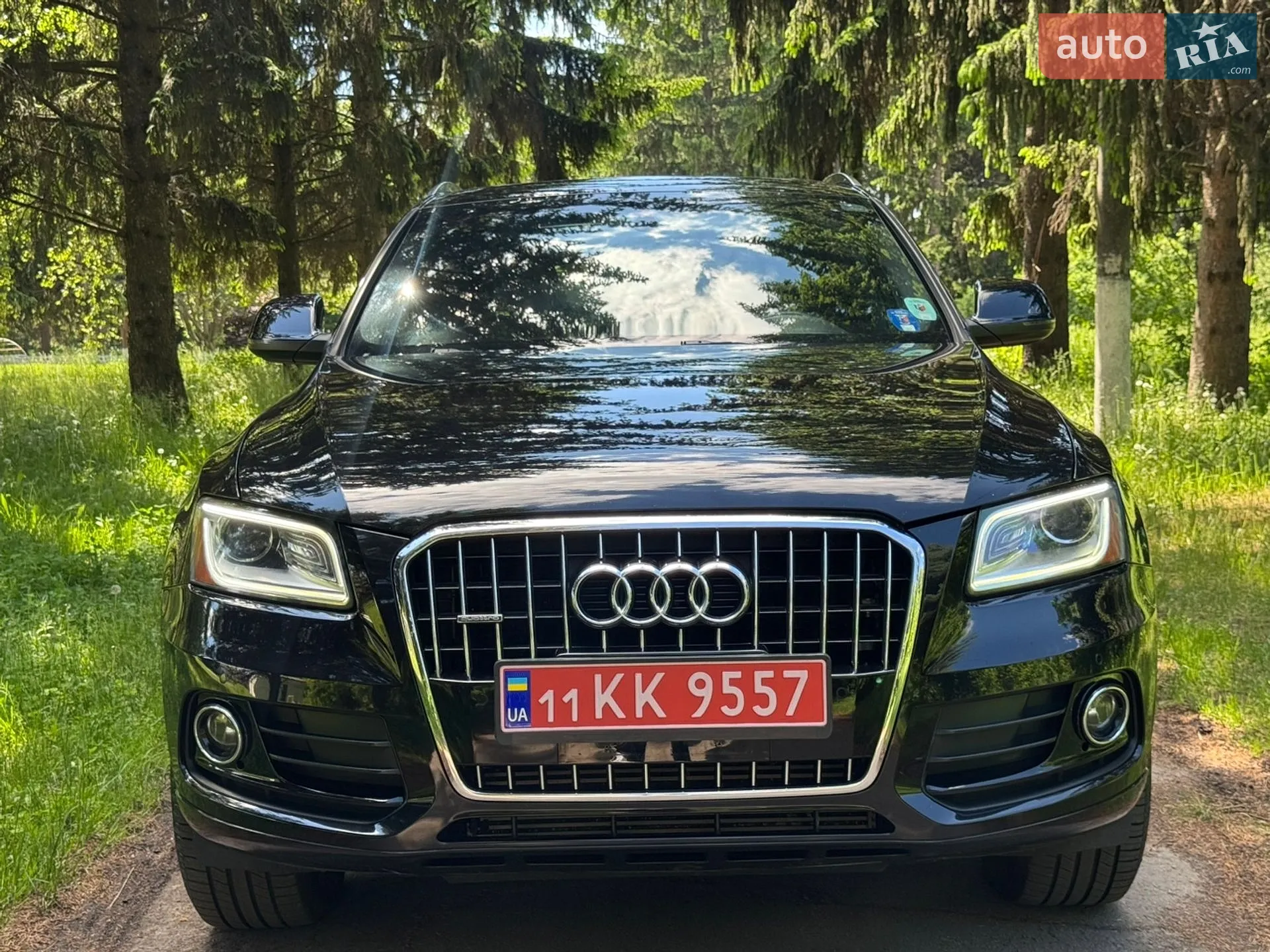 2014 Audi Q5 - мініатюра 6