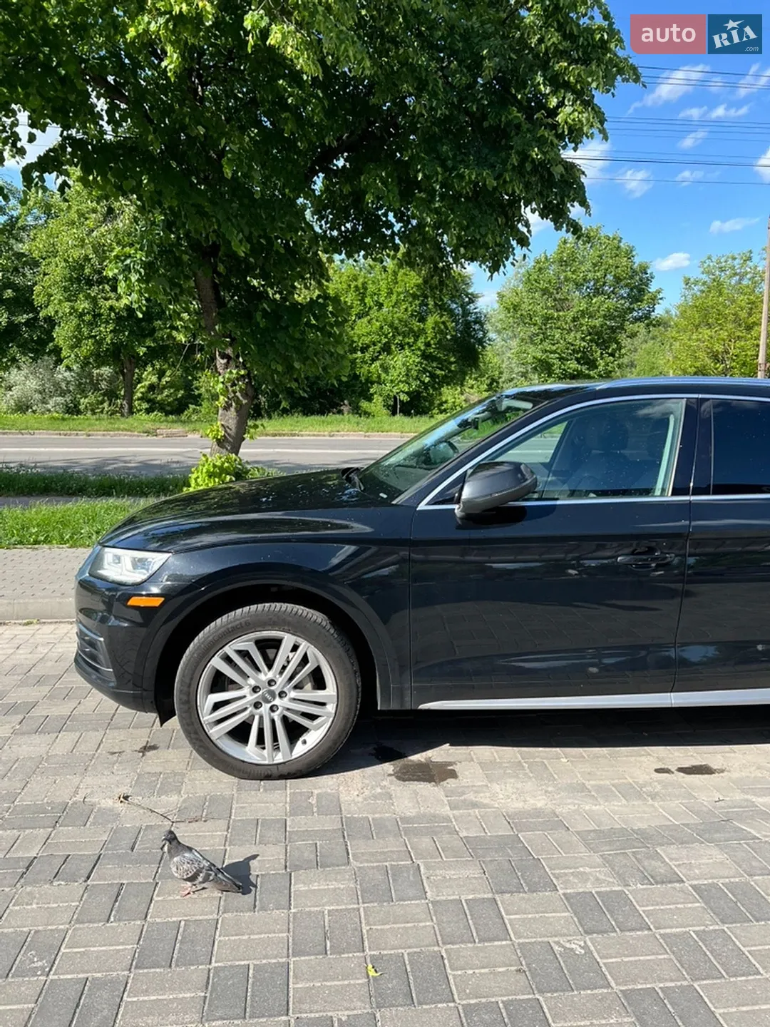 2017 Audi Q5 - мініатюра 10