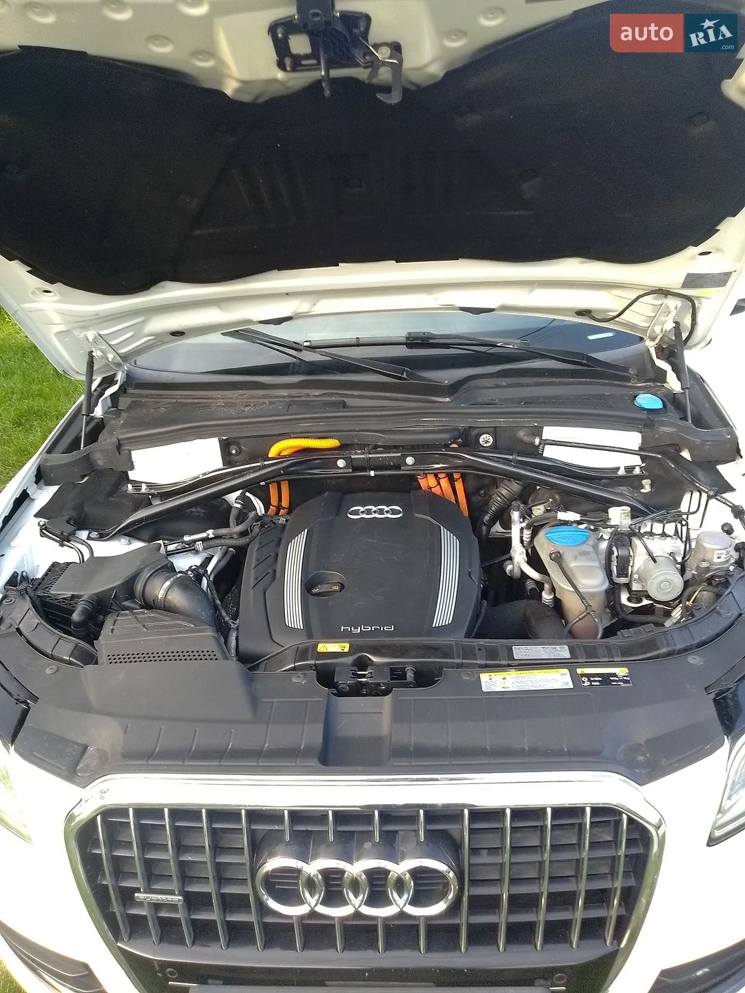 2013 Audi Q5 - мініатюра 3