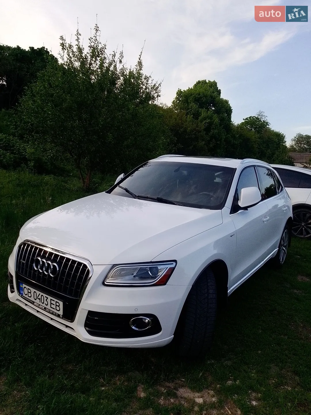 2013 Audi Q5 - мініатюра 19