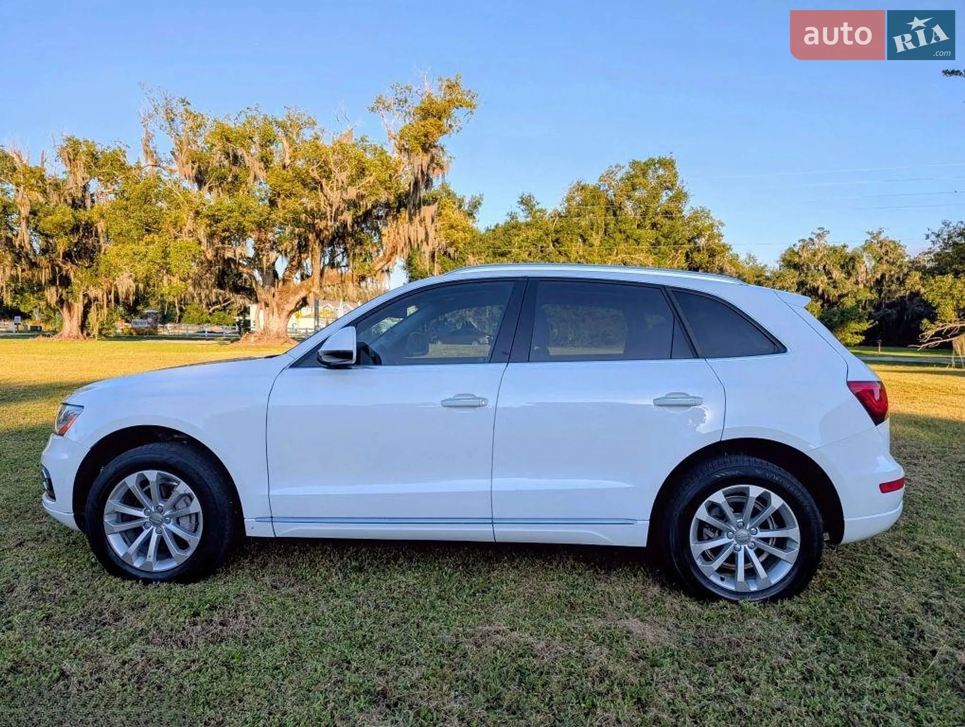 2016 Audi Q5 - мініатюра 7