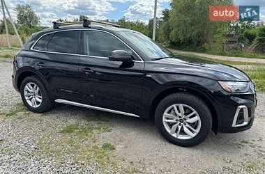 Внедорожник / Кроссовер Audi Q5 2023 в Бердичеве