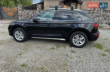 Внедорожник / Кроссовер Audi Q5 2023 в Бердичеве