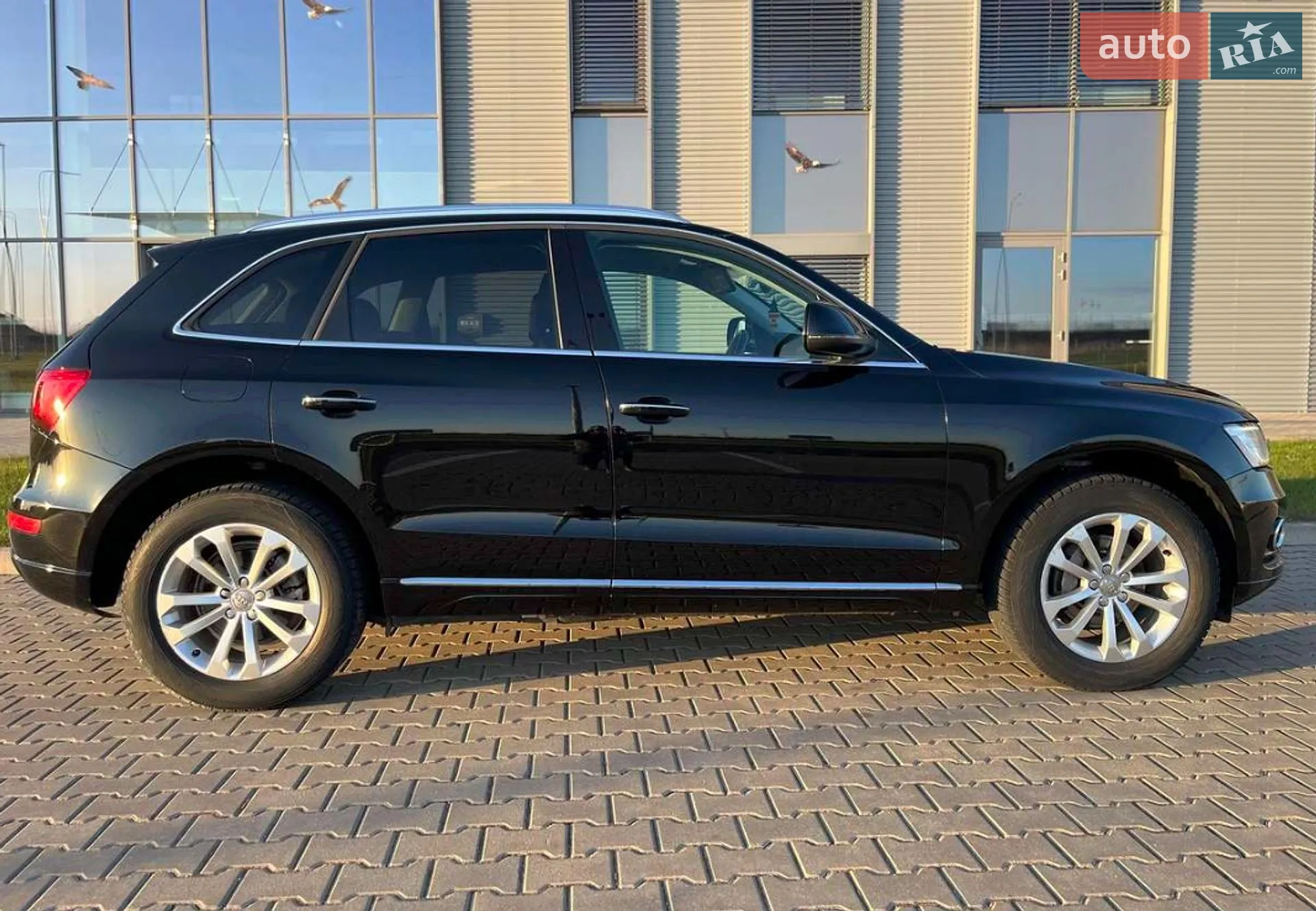 2014 Audi Q5 - мініатюра 5