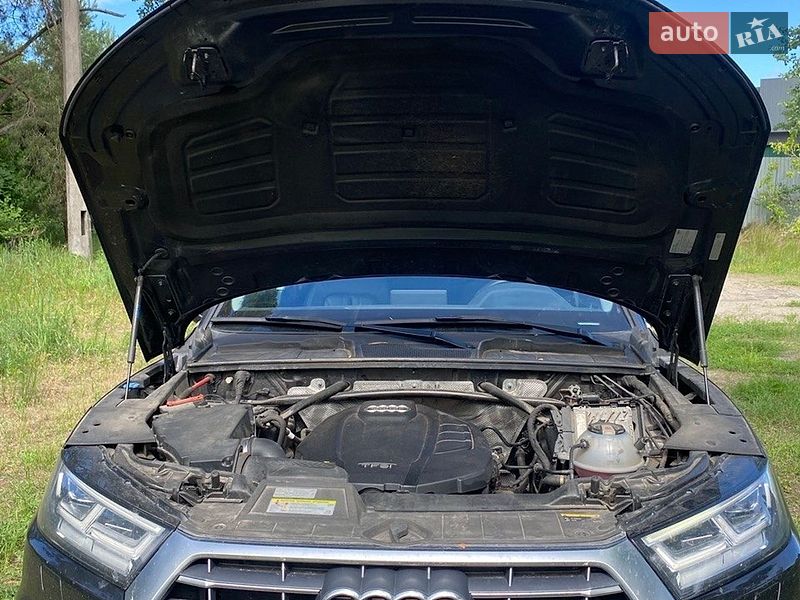 Позашляховик / Кросовер Audi Q5 2019 в Києві фото 15 Позашляховик / Кросовер Audi Q5 2019 в Києві