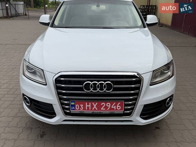 2014 Audi Q5, VIN WA1VFCFP5EA036773:plate — фото 1 (autoria)