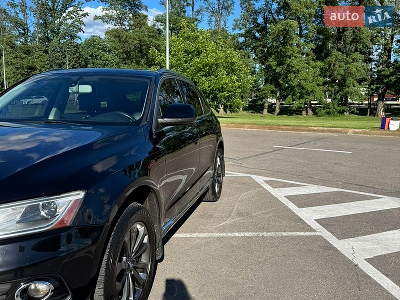 2013 Audi Q5, VIN WA1CFAFP2EA029775:plate — фото 1 (autoria)