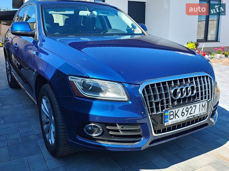 2013 Audi Q5, VIN WA1LFAFP6DA071316:plate — фото 1 (autoria)