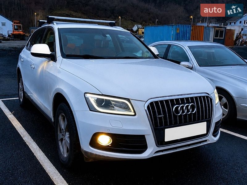 2014 Audi Q5, VIN WAUZZZ8R4FA029019:plate — фото 1 (autoria)