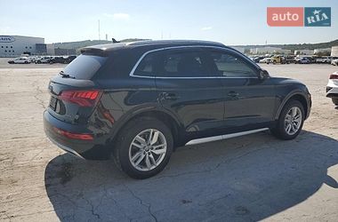 Внедорожник / Кроссовер Audi Q5 2020 в Киеве