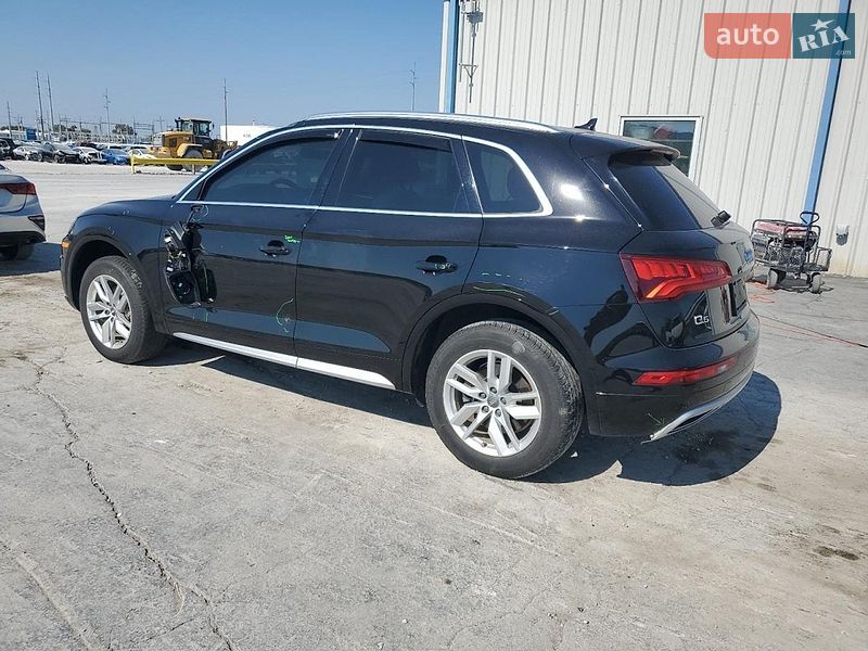 Внедорожник / Кроссовер Audi Q5 2020 в Киеве