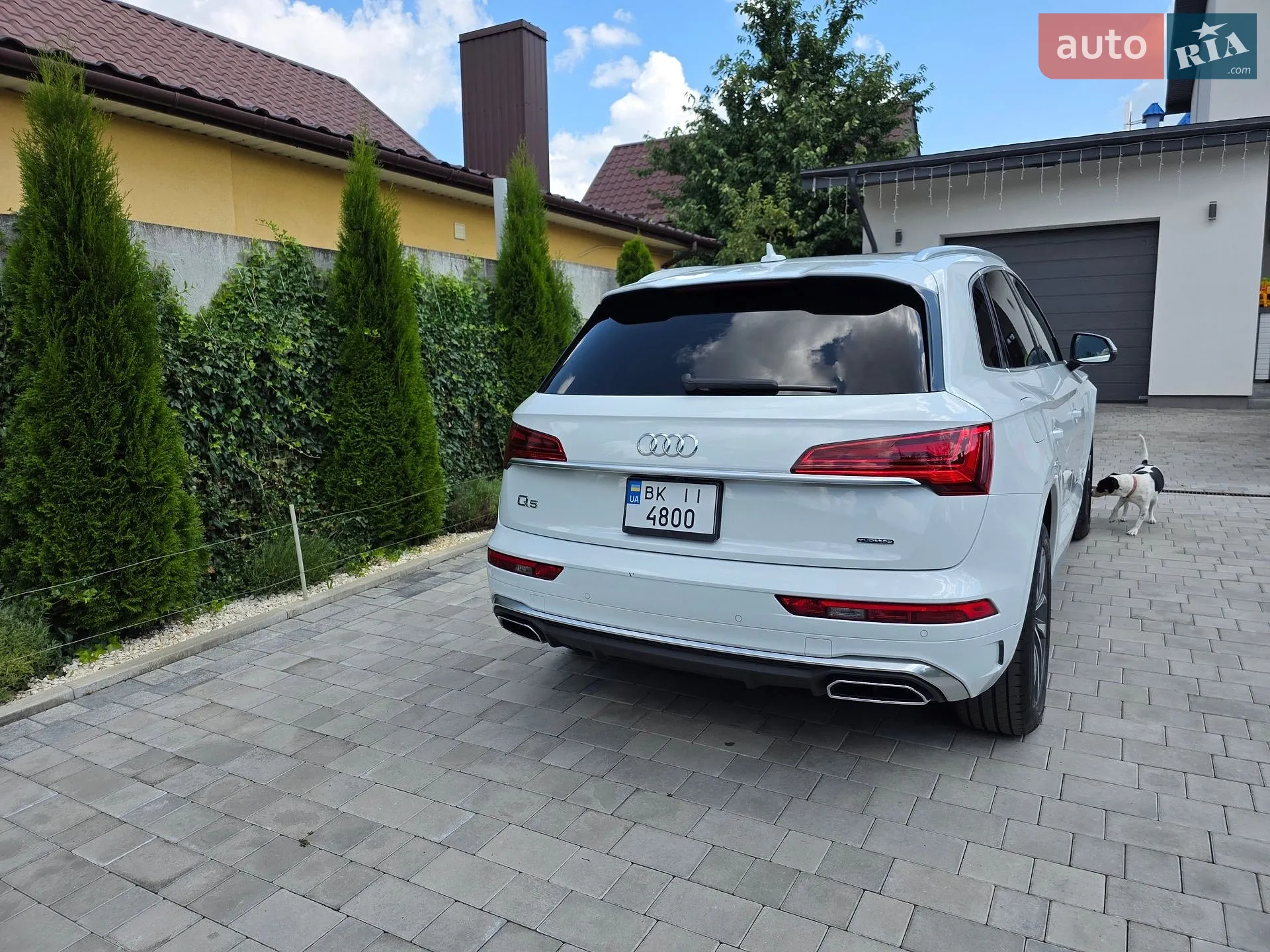 2021 Audi Q5 - мініатюра 14