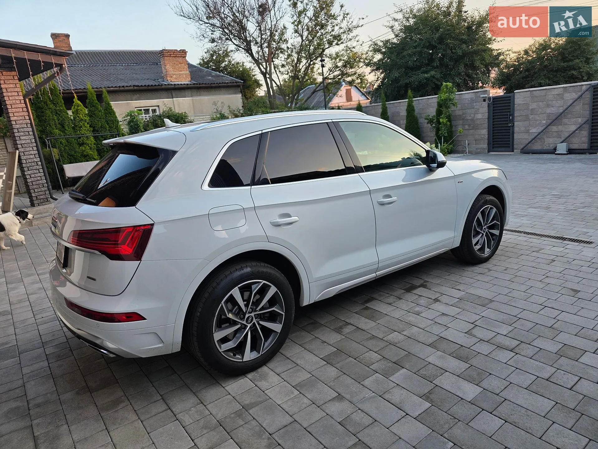 2021 Audi Q5 - мініатюра 52