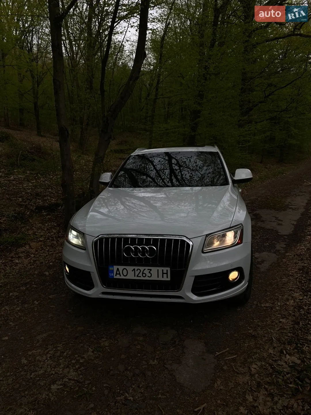 2014 Audi Q5 - мініатюра 2