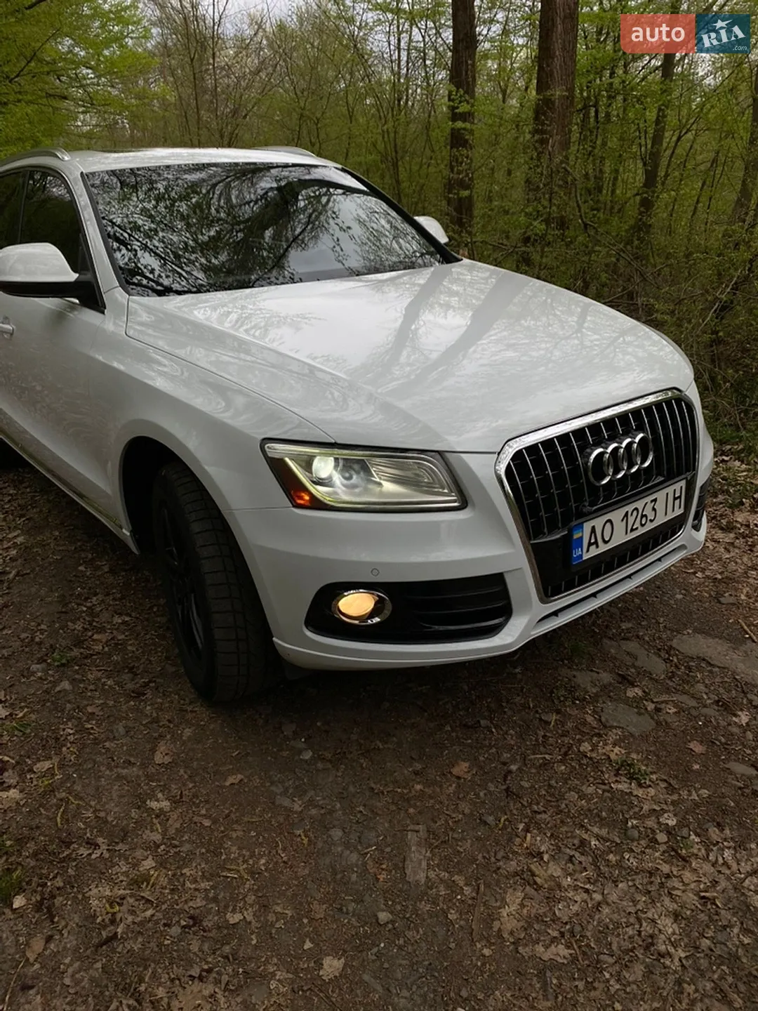 2014 Audi Q5 - мініатюра 3