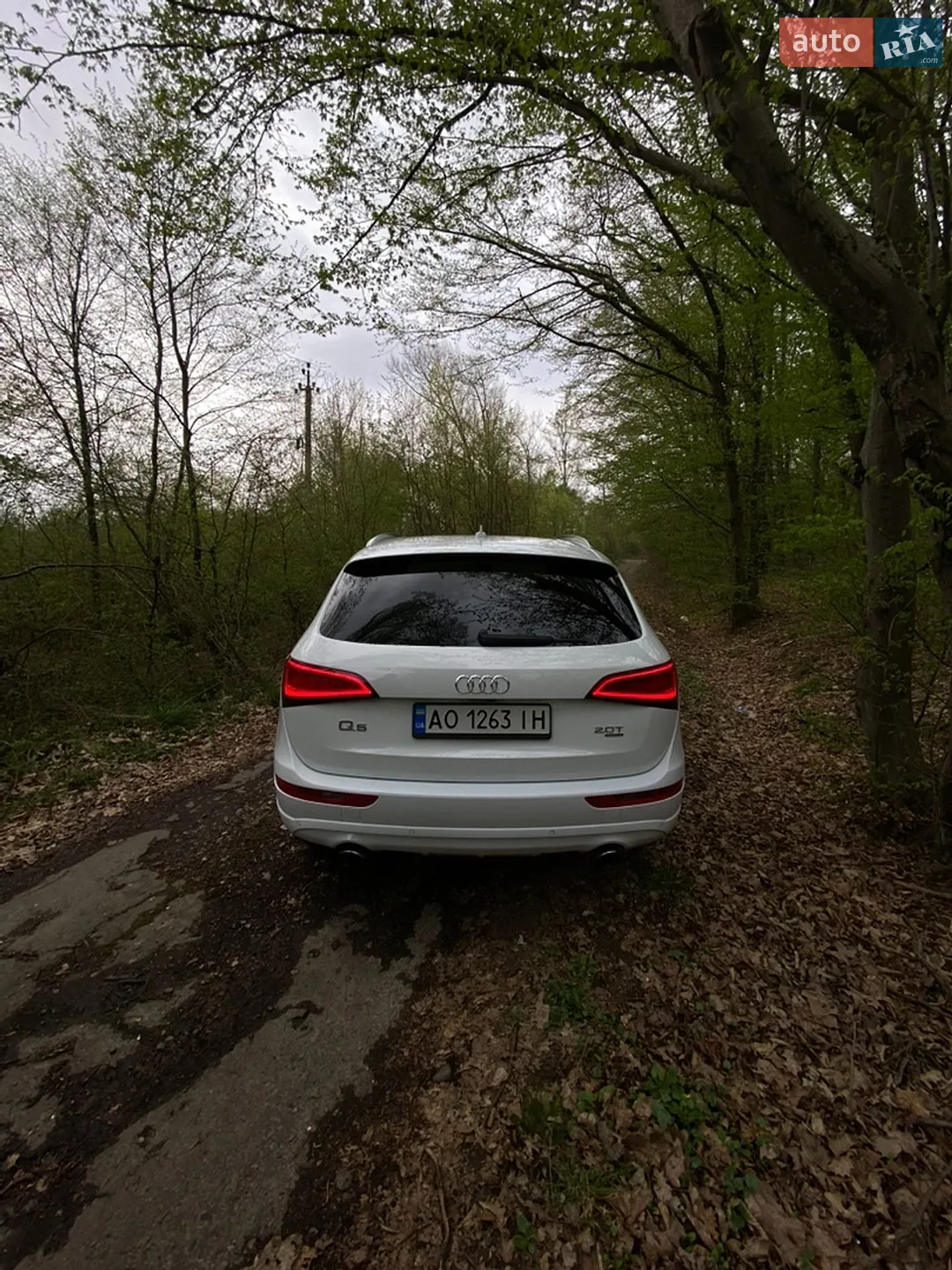 2014 Audi Q5 - мініатюра 4