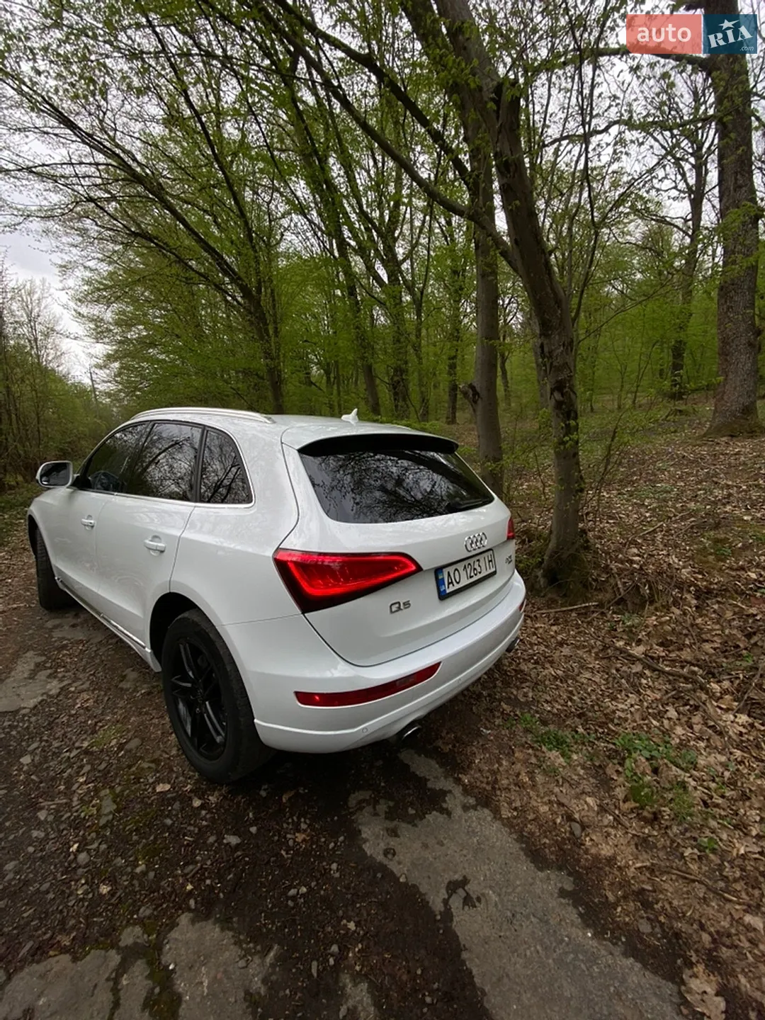 2014 Audi Q5 - мініатюра 5
