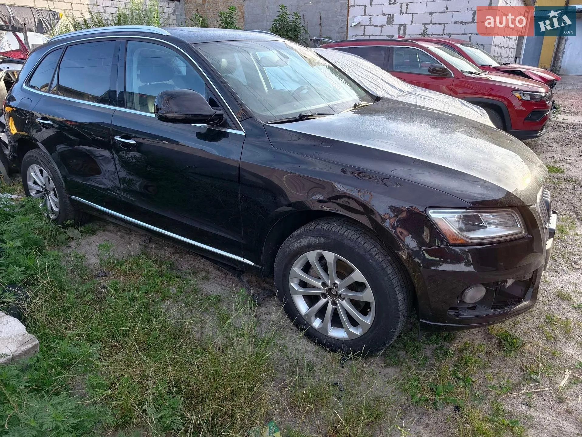 2016 Audi Q5 - фото 1