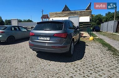 Позашляховик / Кросовер Audi Q5 2015 в Глухові фото 100 Позашляховик / Кросовер Audi Q5 2015 в Глухові