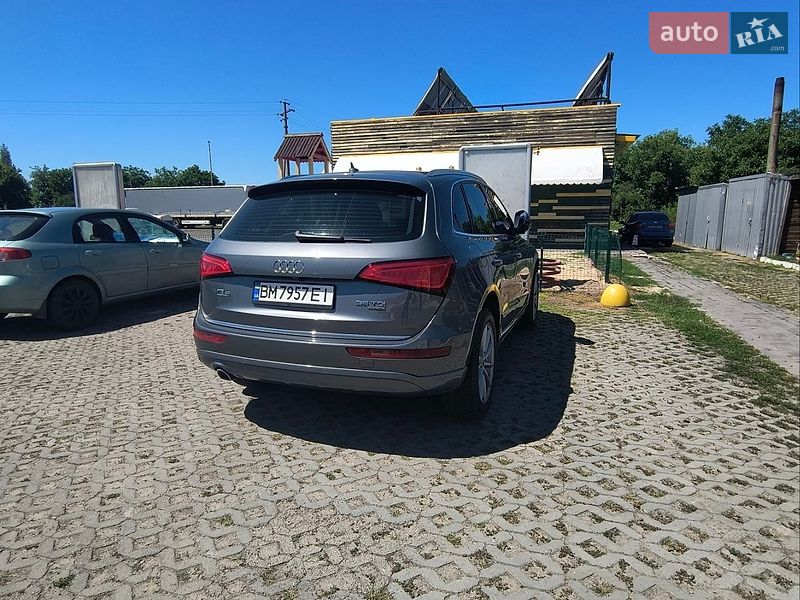 Позашляховик / Кросовер Audi Q5 2015 в Глухові фото 100 Позашляховик / Кросовер Audi Q5 2015 в Глухові