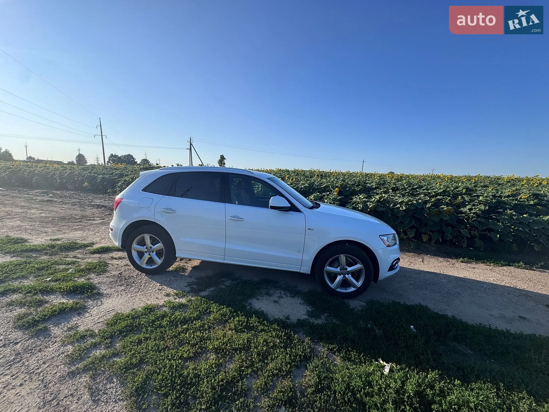 2016 Audi Q5 - мініатюра 6