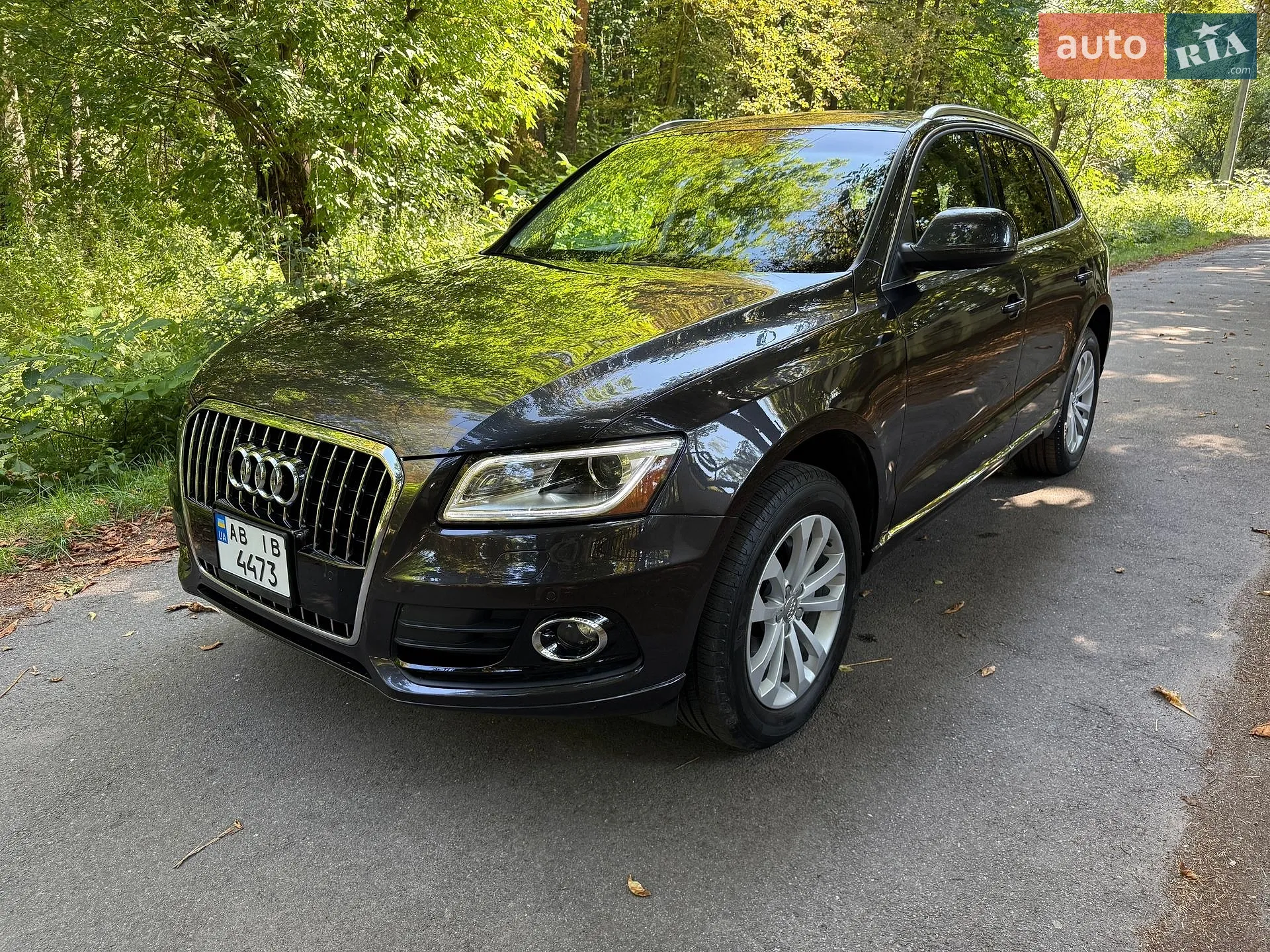 2013 Audi Q5 - мініатюра 4