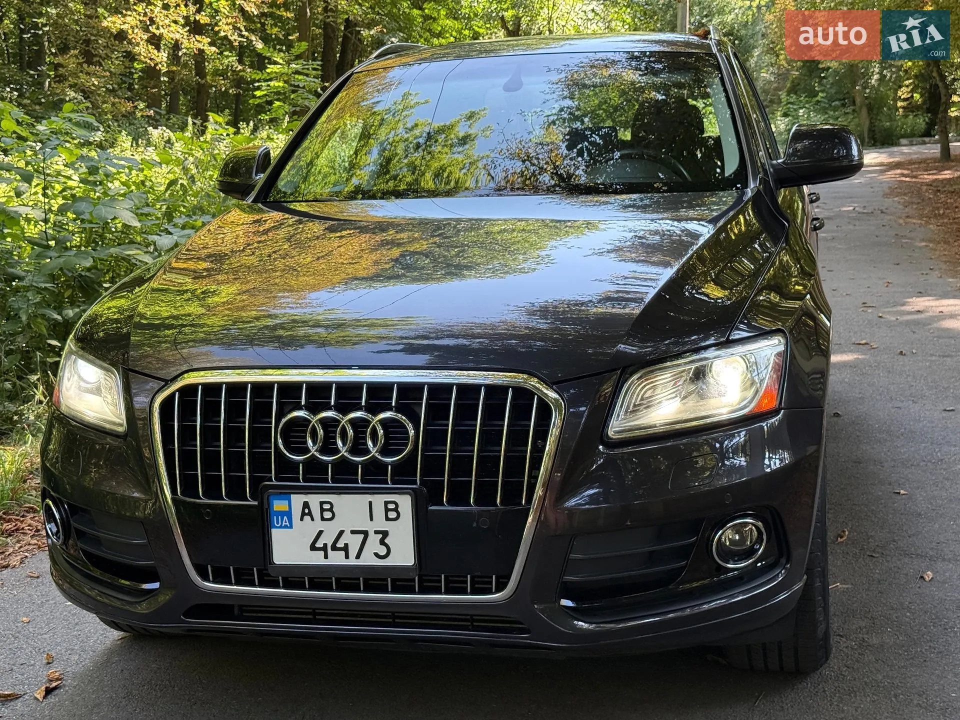 2013 Audi Q5 - мініатюра 2