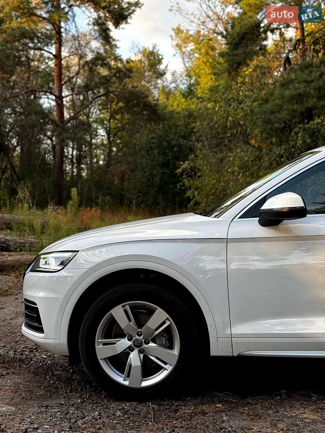 2019 Audi Q5 - мініатюра 7