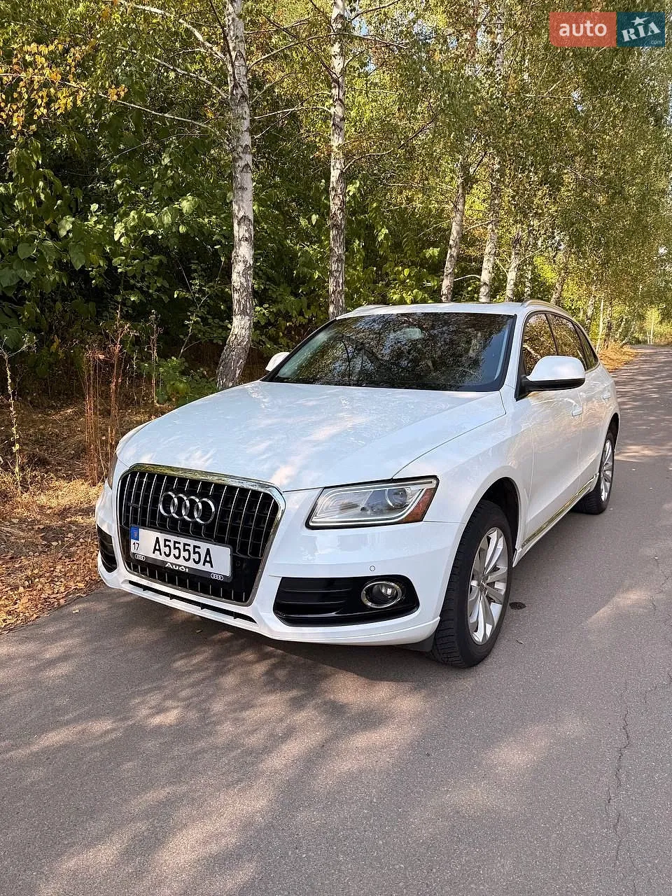2013 Audi Q5 - фото 1