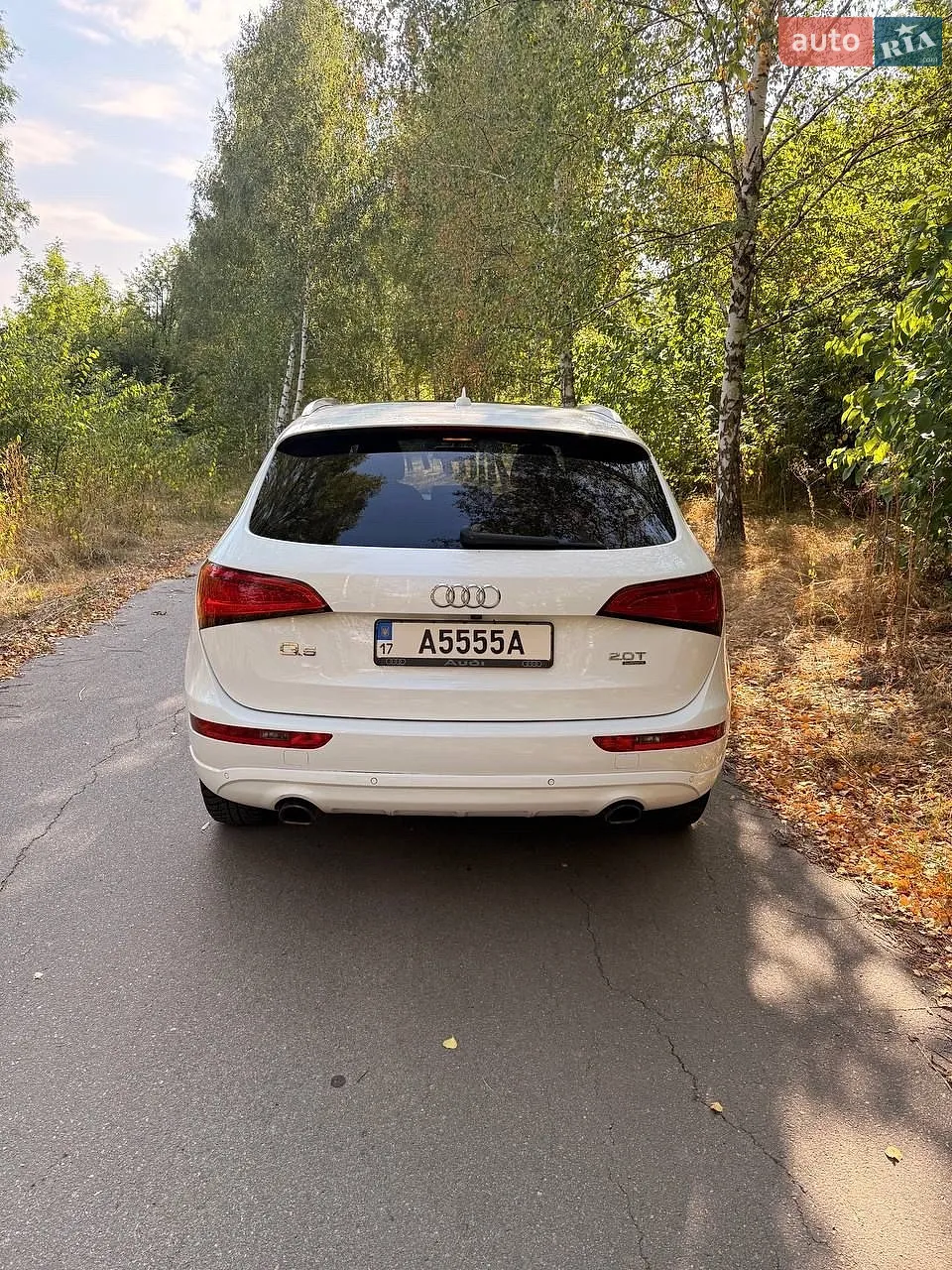 2013 Audi Q5 - мініатюра 5