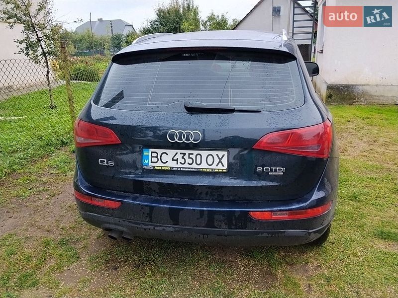 Внедорожник / Кроссовер Audi Q5 2009 в Яворове фото 4 Внедорожник / Кроссовер Audi Q5 2009 в Яворове