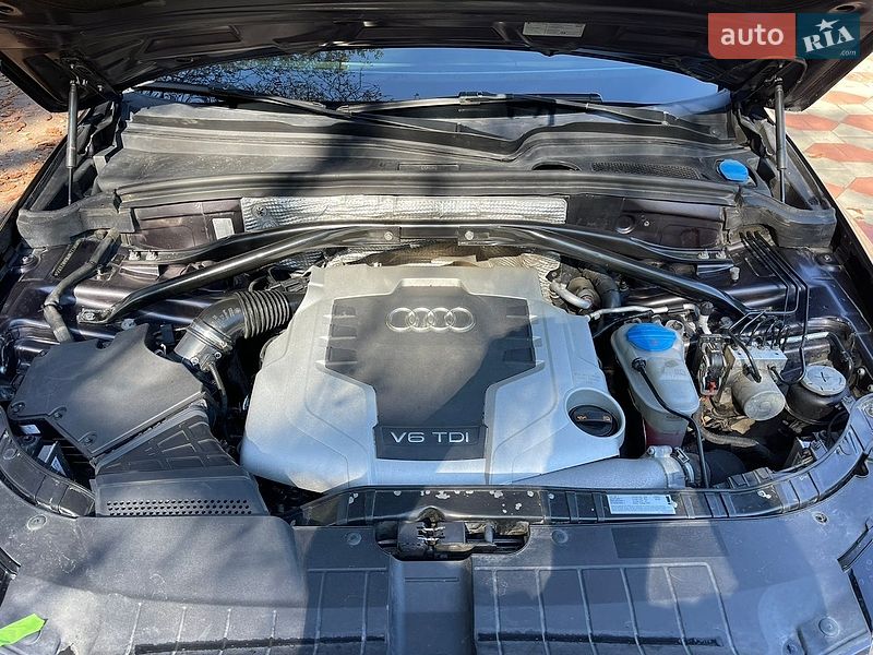 Внедорожник / Кроссовер Audi Q5 2010 в Нежине фото 17 Внедорожник / Кроссовер Audi Q5 2010 в Нежине