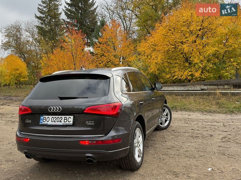 Позашляховик / Кросовер Audi Q5 2016 в Теребовлі