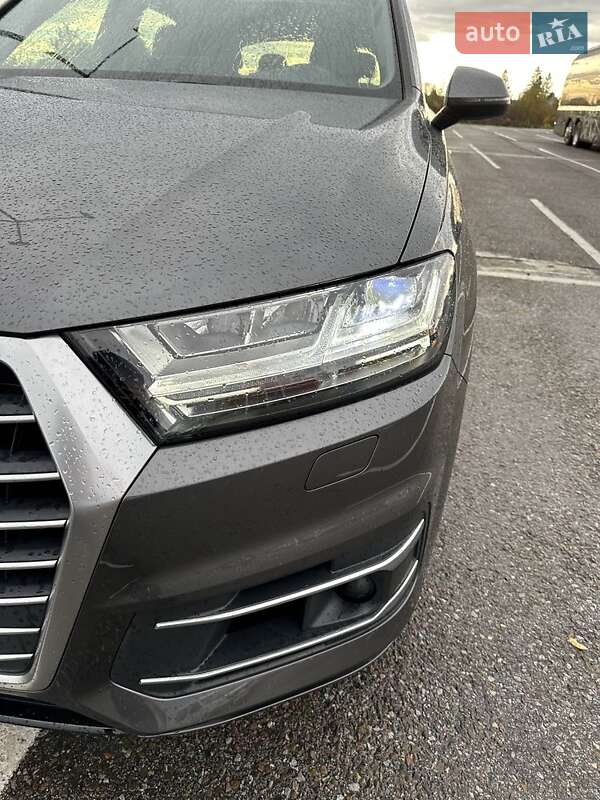 Внедорожник / Кроссовер Audi Q7 2019 в Черновцах