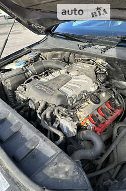 Внедорожник / Кроссовер Audi Q7 2010 в 