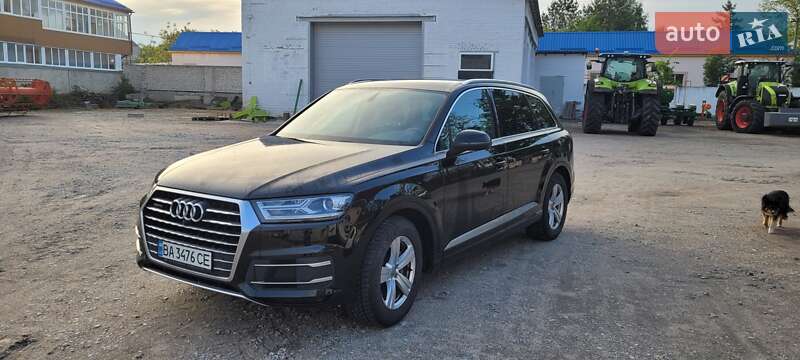 Внедорожник / Кроссовер Audi Q7 2017 в 