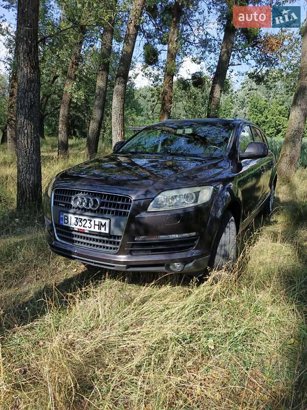 Внедорожник / Кроссовер Audi Q7 2006 в Гадяче фото 9 Внедорожник / Кроссовер Audi Q7 2006 в Гадяче