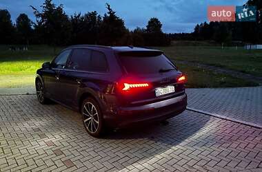 Внедорожник / Кроссовер Audi Q7 2021 в 