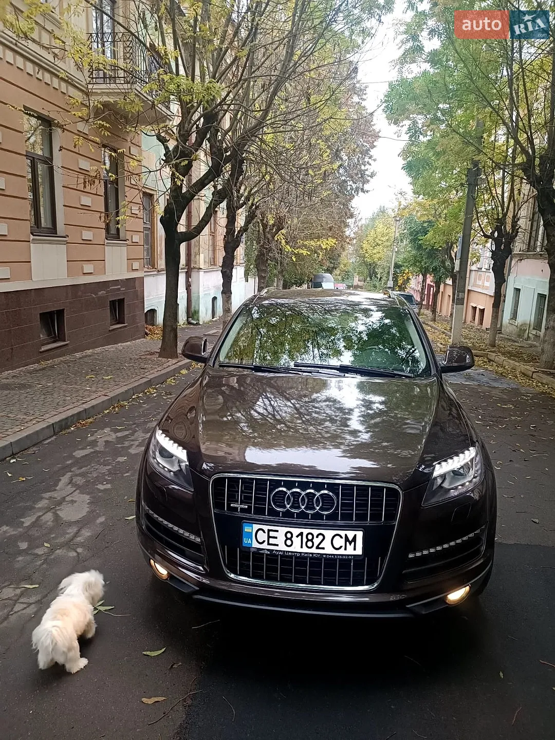 2013 Audi Q7 - фото 1